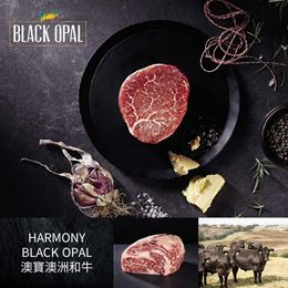 品牌圖片 HARMONY