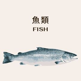 分類圖片 魚類